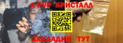 стаф Новокубанск