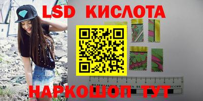 стафф Новодвинск