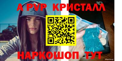 стаф Новокубанск