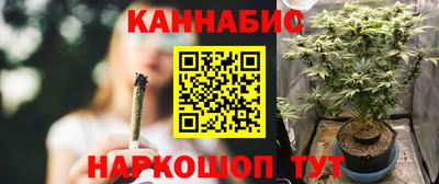стаф Новокубанск