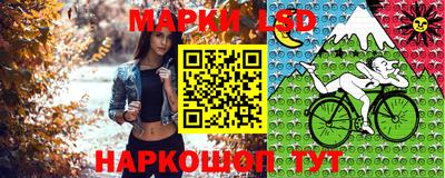 стаф Новокубанск