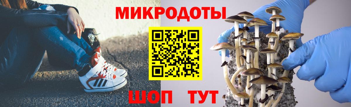 Сокол  Галлюциногенные грибы Psilocybine cubensis  Вход с VPN 